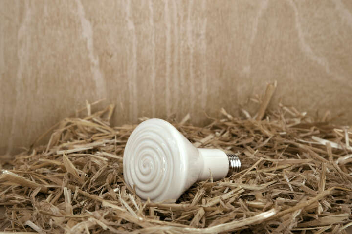 KERBL Keramik-Dunkelstrahler